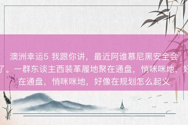 澳洲幸运5 我跟你讲，最近阿谁慕尼黑安全会，看得我快笑出声了。一群东谈主西装革履地聚在通盘，悄咪咪地，好像在规划怎么起义